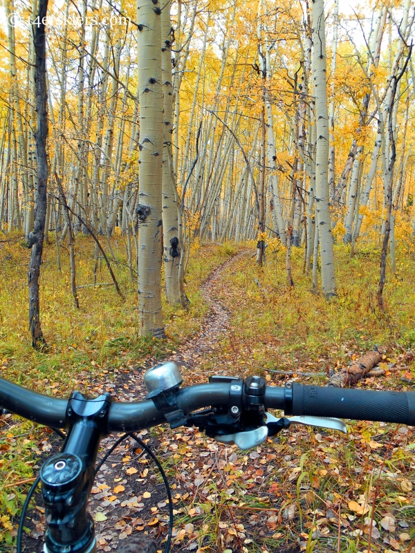 fall ride on the Dyke Trail