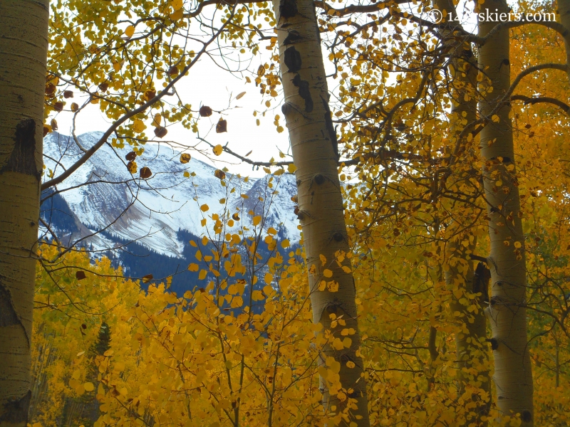 fall ride on the Dyke Trail near Crested Butte, CO