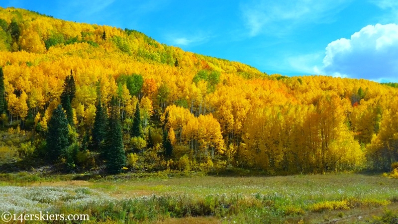 Fall colors in Crested Butte