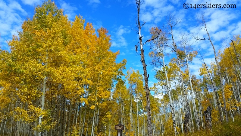 Dyke Trail near Crested Butte in the fall. 