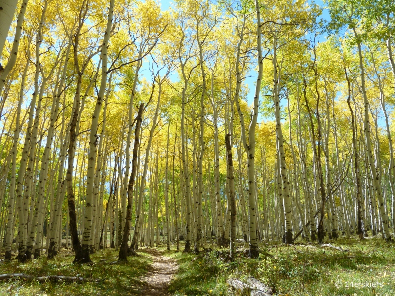 Dyke to Dark Canyon hike near Crested Butte