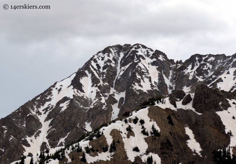 White Widow near Crested Butte, CO