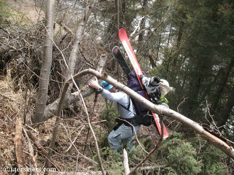 Backpacking over avalanche debris in the trail, with skis.