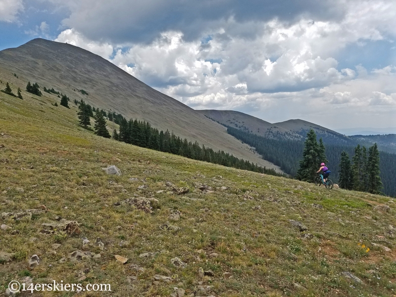 Mountain biking Fairview Peak near Fossil Ridge in Colorado. 