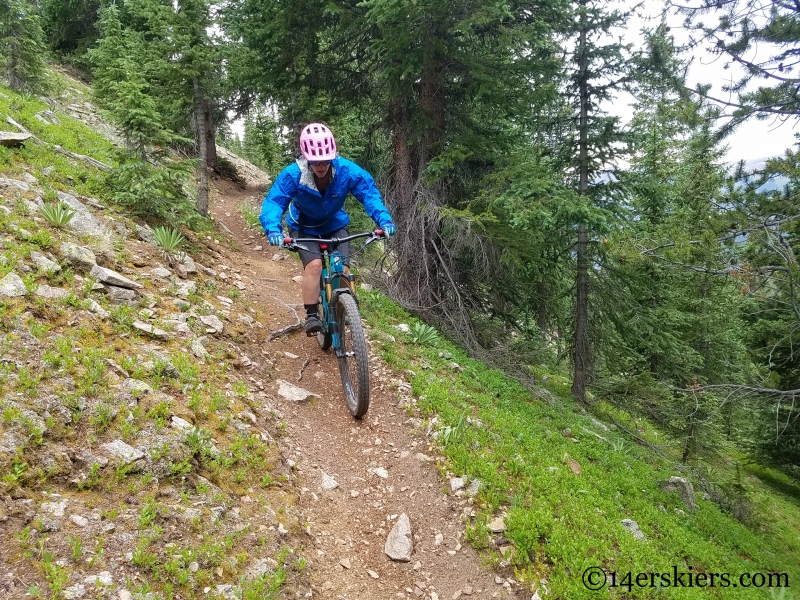 Mountain biking Fairview Peak near Fossil Ridge in Colorado. 