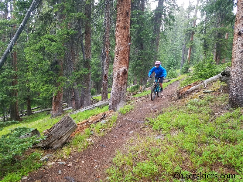 Mountain biking Fairview Peak near Fossil Ridge in Colorado. 