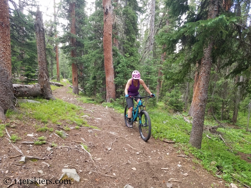 Mountain biking Fairview Peak near Fossil Ridge in Colorado. 