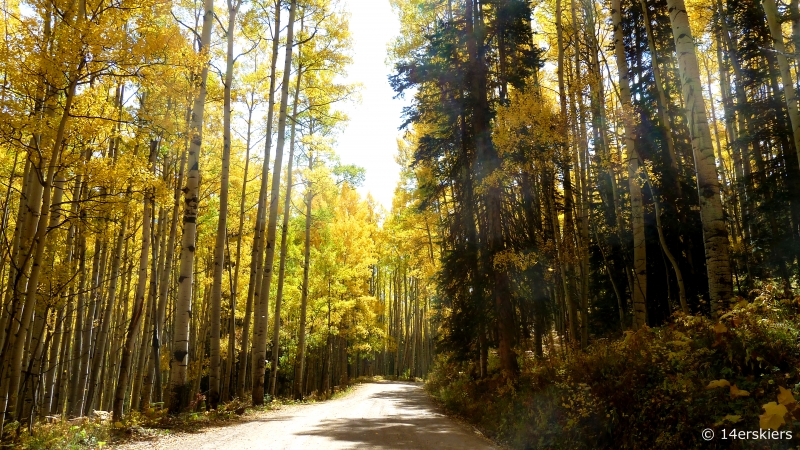 Fall colors in Crested Butte