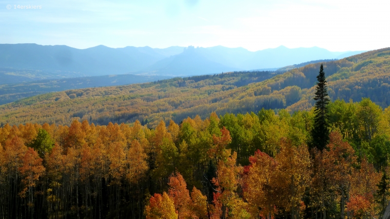 Fall colors in Crested Butte