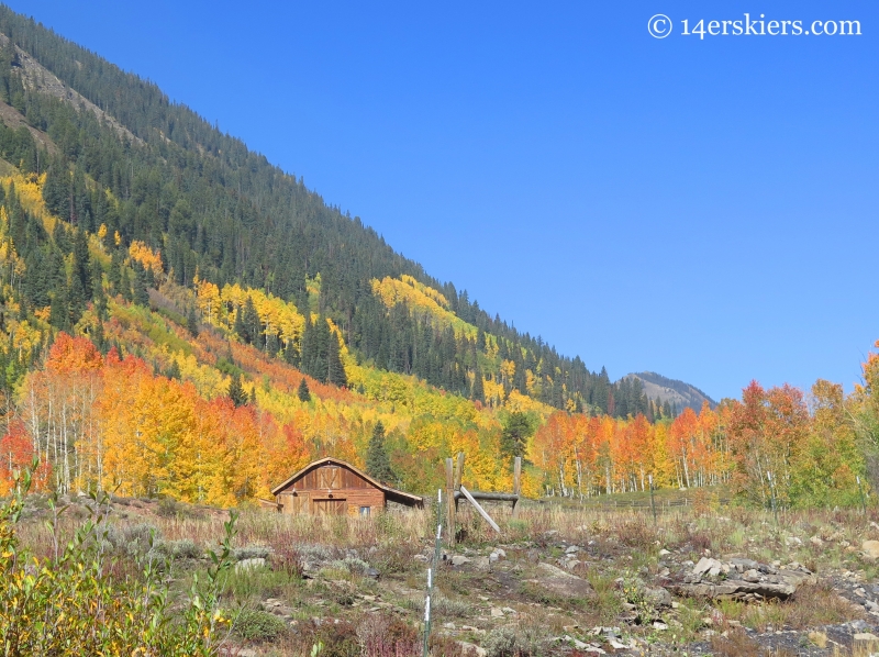 Stable in fall near Crested Butte