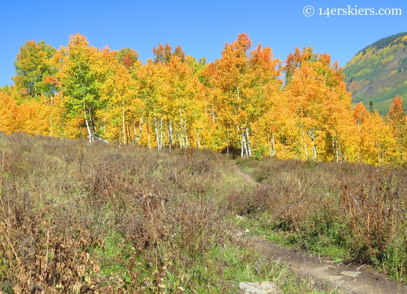 Lower Loop trail in fall near Crested Butte