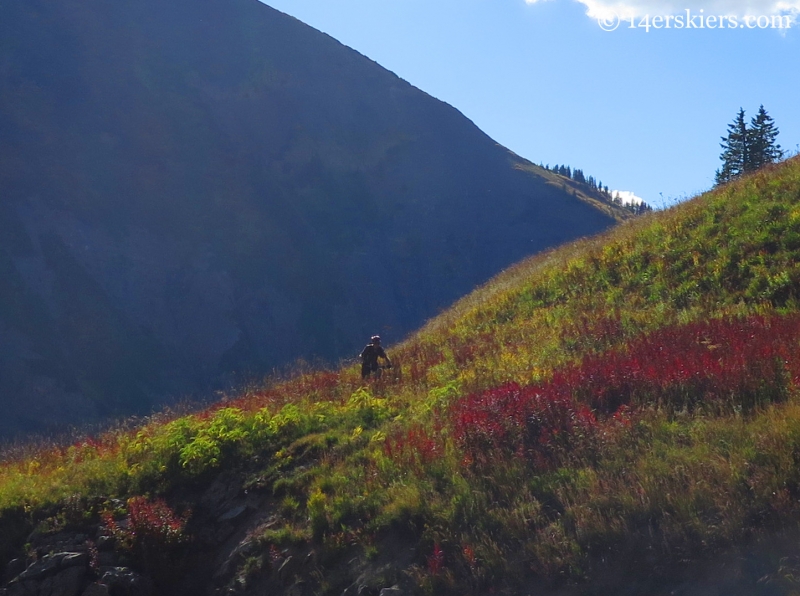 Fall ride on 401 near Crested Butte