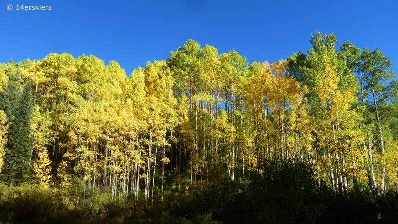 Fall colors in Crested Butte