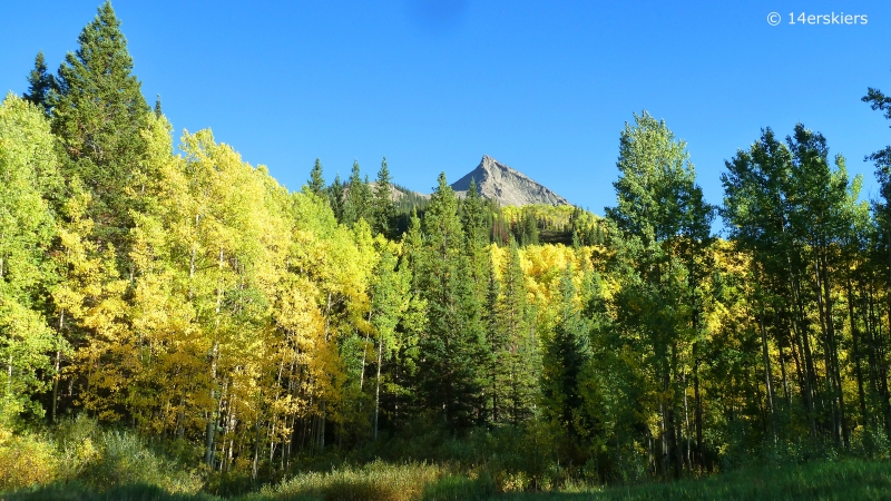 Fall colors in Crested Butte