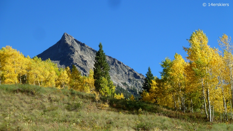 Fall colors in Crested Butte