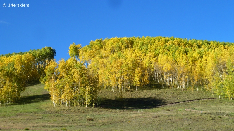 Fall colors in Crested Butte