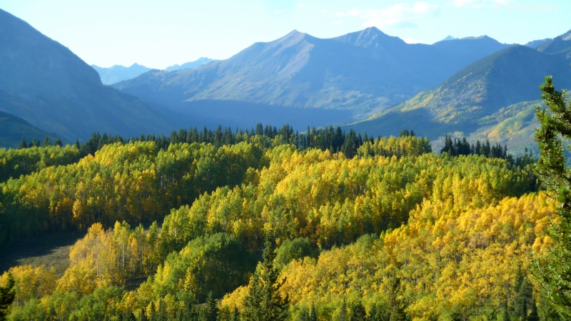 Fall colors in Crested Butte