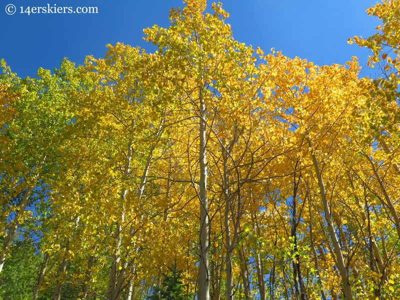 fall in Crested Butte