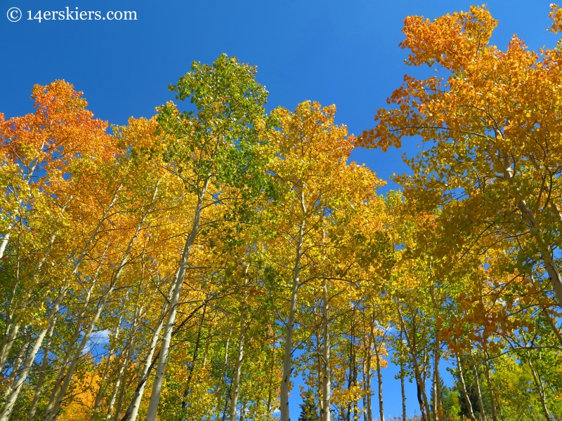 fall in Crested Butte