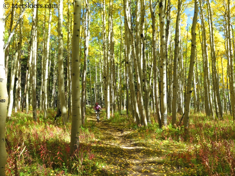 fall in Crested Butte