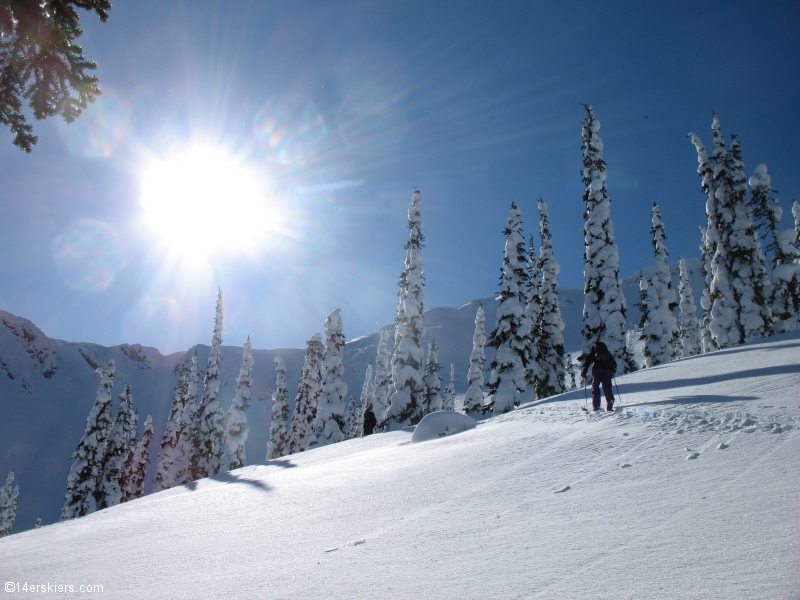 Backcountry skiing in Fernie, Canada