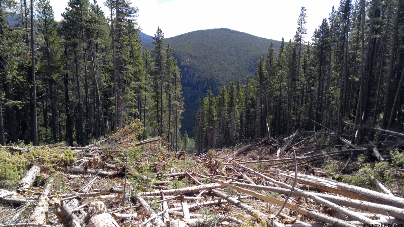 avalanche debris near ohio city