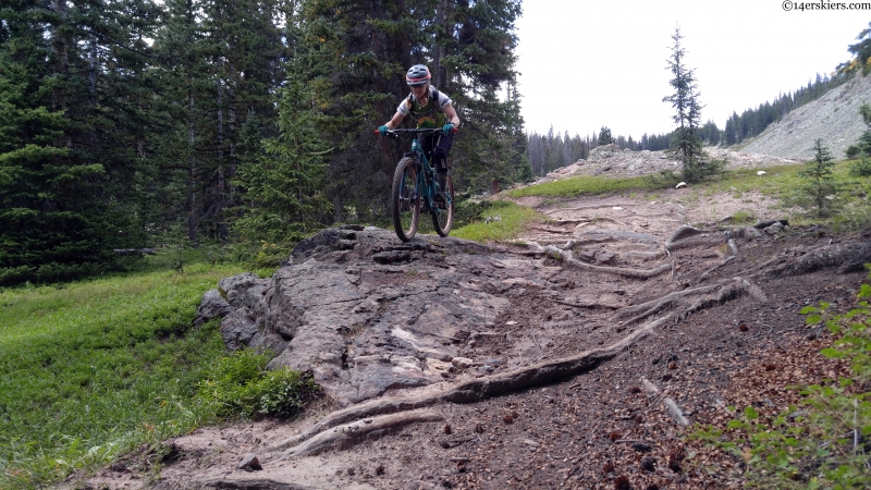 rocks and roots and bikes