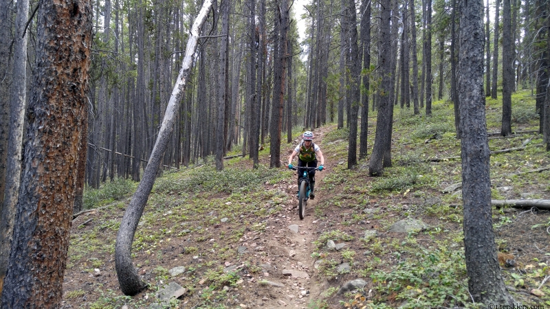 Bear Gulch trail near Gunnison