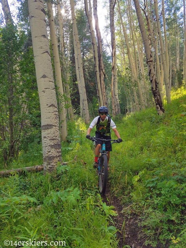 Mountain biking Bear Gulch Trail near Fossil Ridge.