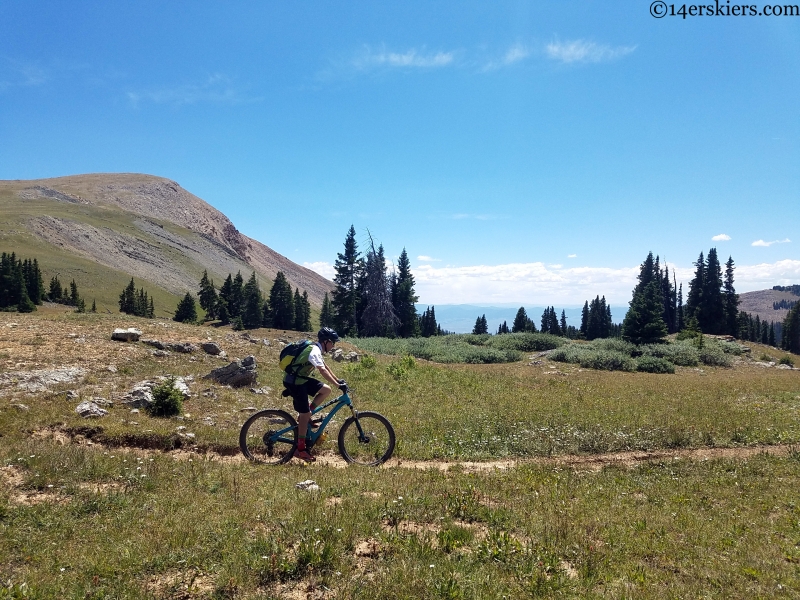 mountain biking near gunnison