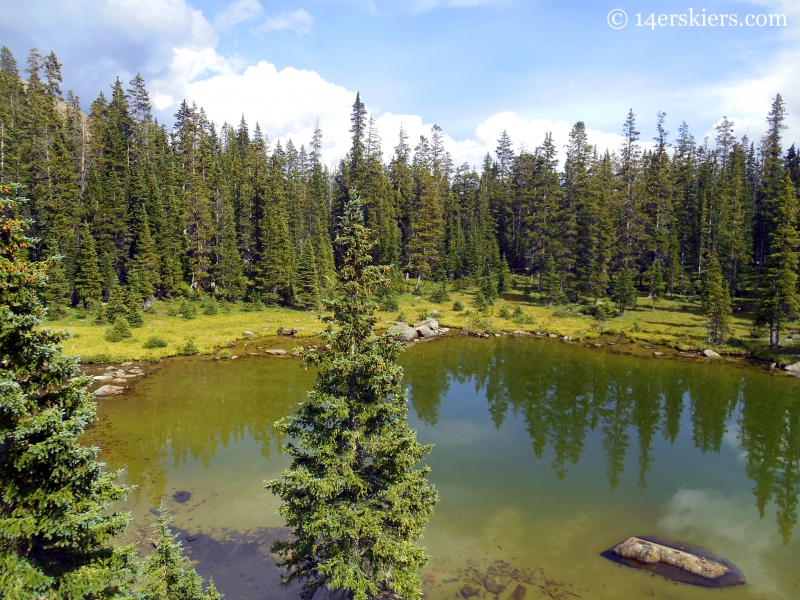 small lake near Lamphier Lake