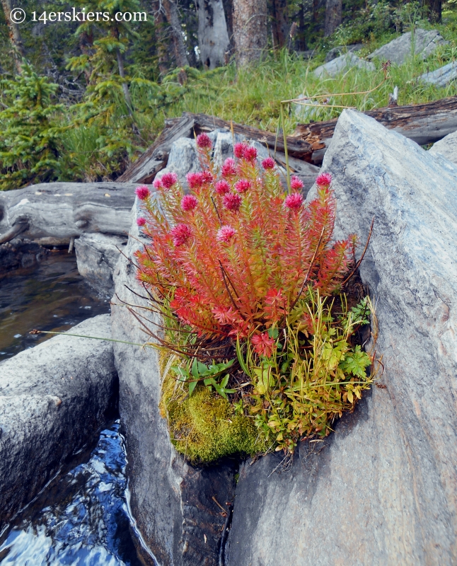 King's Crown while backpacking in the Fossil Ridge Wilderness