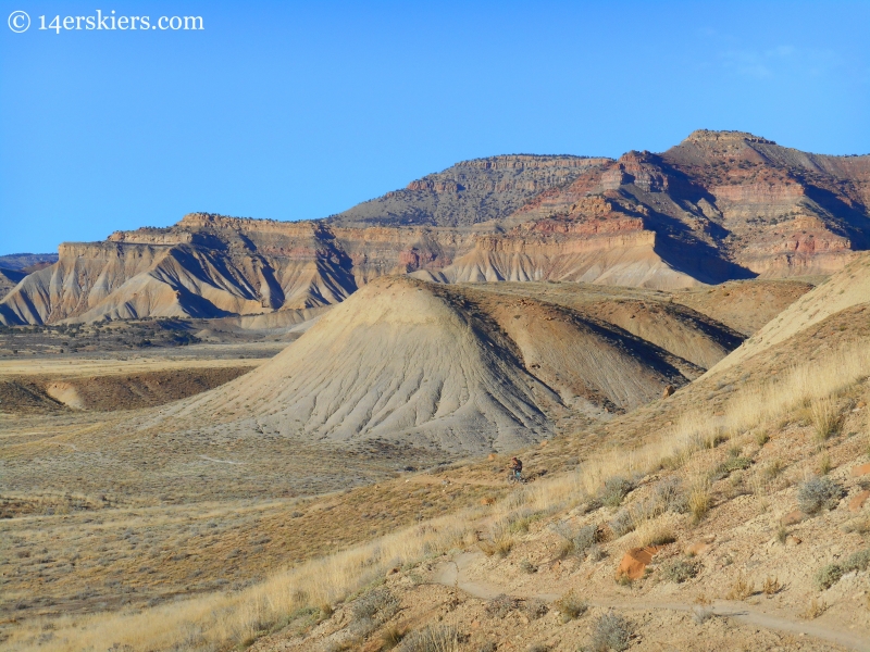 western zippity trail