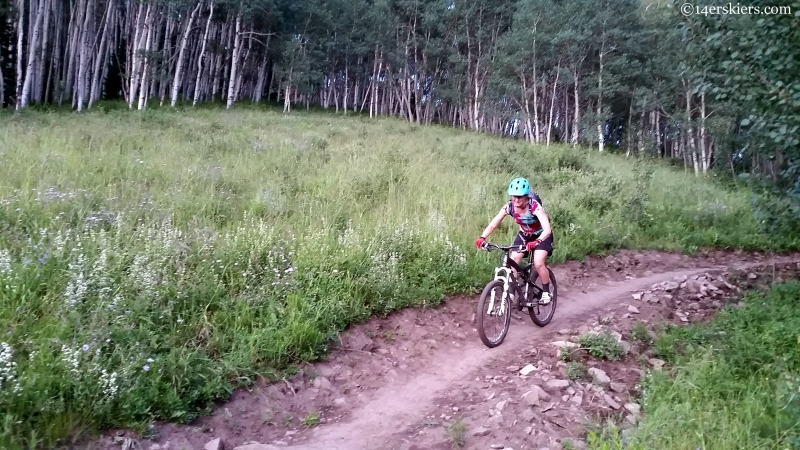 Lupine 3 trail Crested Butte CO