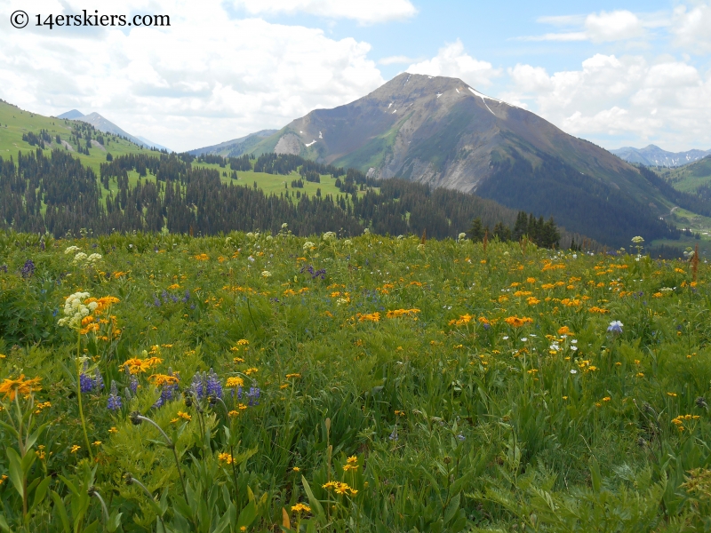 Baldy with wildflowers on the Hasley pass hike