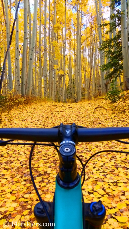 Fall colors on Hay Park near Mount Sopris.