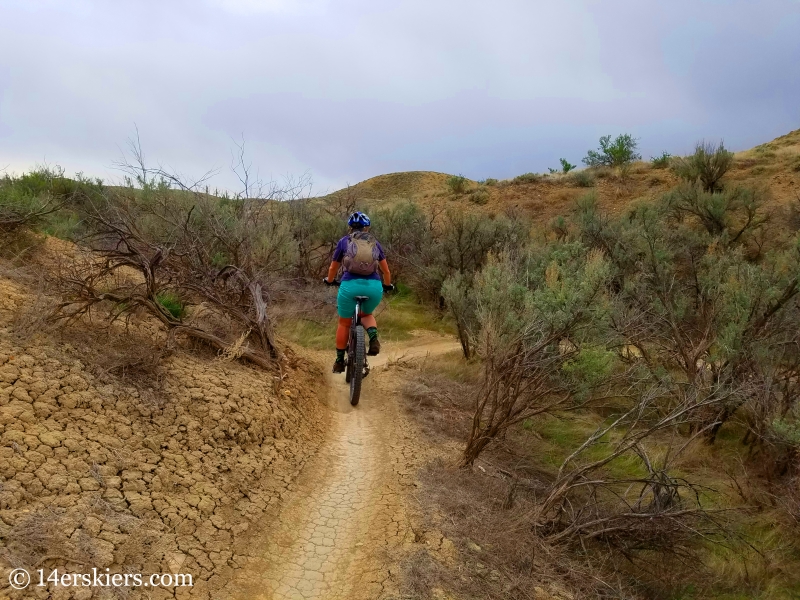 Mountain biking 101 - Highline Lake State Park near Loma, CO