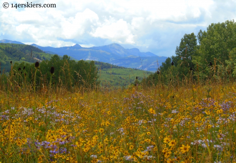 West Elk Wilderness, trail from Horse Ranch to Swampy Pass