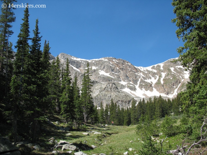 Meadow with Huron Peak behind. 