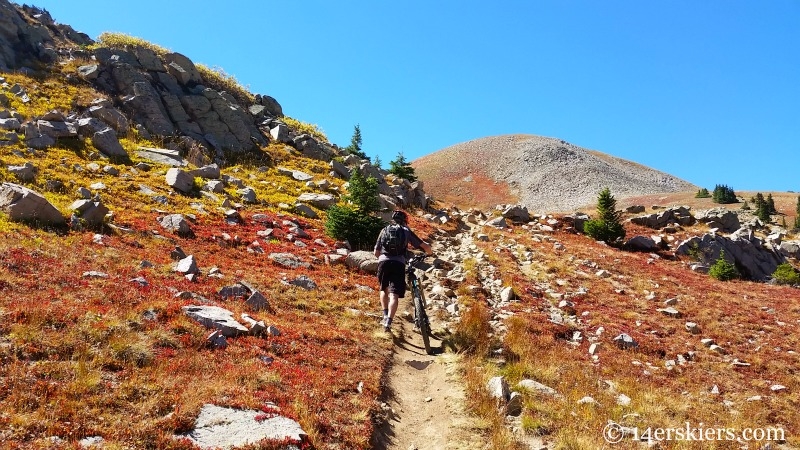 Mountain biking Canyon Creek near Whitepine. 