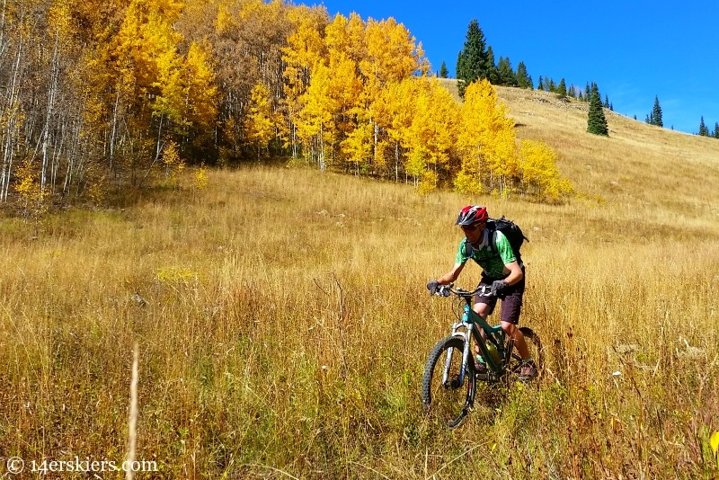 Mountain biking near Crested Butte. 