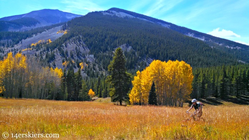 Mountain biking on Carbon Creek Trail near Crested Butte. 