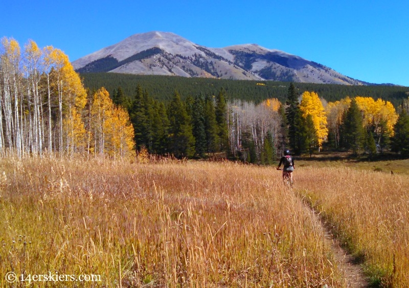 Mountain biking on Carbon Creek Trail near Crested Butte. 