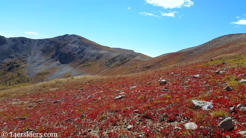 Mountain biking Canyon Creek near Whitepine.