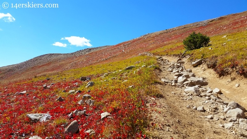 Mountain biking Canyon Creek near Whitepine.