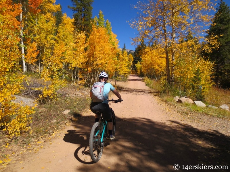 Mountain biking at Whitepine. 