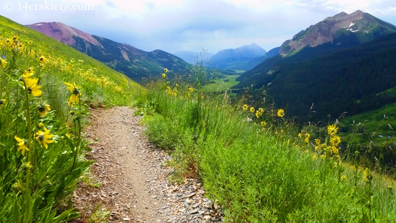 Mountain biking on trail 401 near Crested Butte.