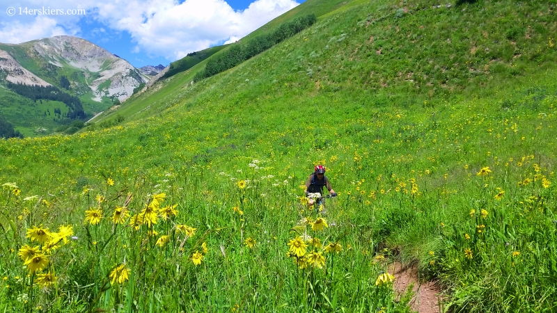 Frank Konsella mountain biking Teocalli Ridge Trail near Crested Butte