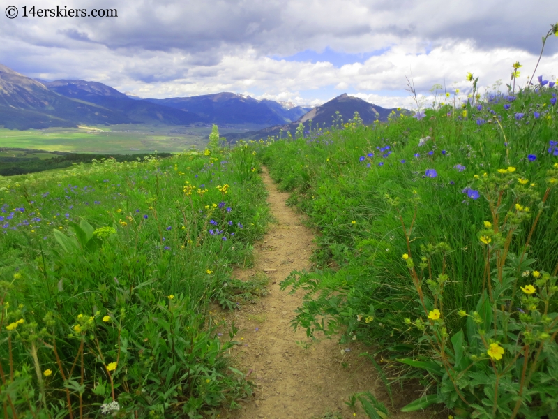 Mountain Biking on Point Lookout near Crested Butte.