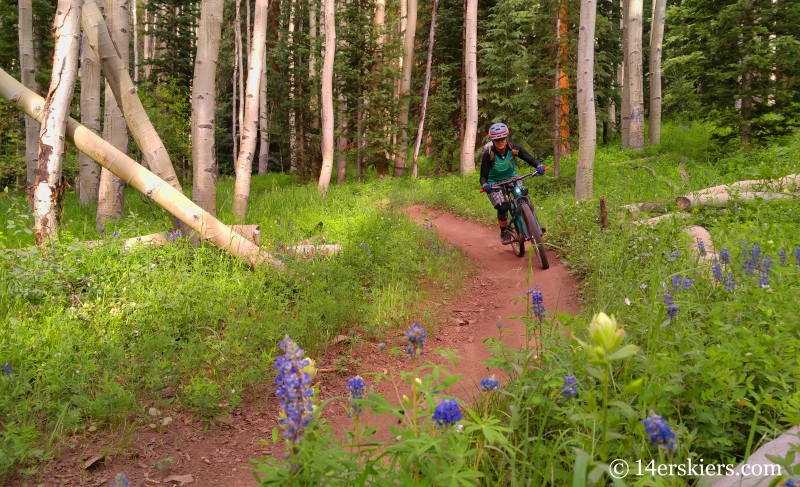 July mountain biking in Crested Butte